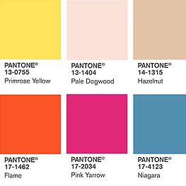 В цвете. Цветовые тенденции весна-лето 2017