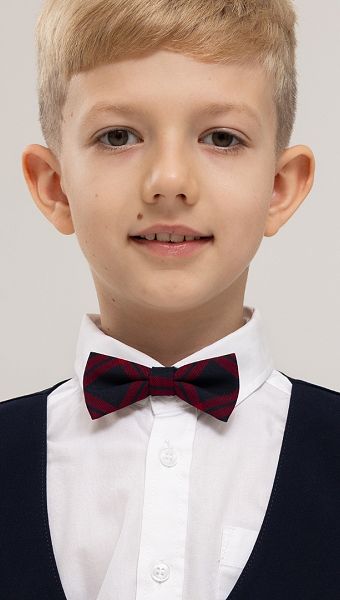 Фото galstuk-babocka-sine-bordovaa-kletka-02 товара Галстук бабочка сине-бордовая клетка0 Фото galstuk-babocka-sine-bordovaa-kletka-02 товара Галстук бабочка сине-бордовая клетка0