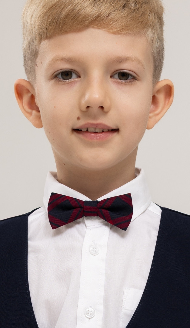 Фото galstuk-babocka-sine-bordovaa-kletka-02 товара Галстук бабочка сине-бордовая клетка0