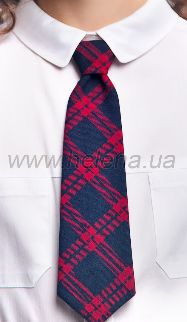 Фото galstuk-erudit-11 товару Краватка Ерудит1