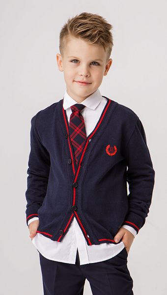 Фото galstuk-erudit-12 товару Краватка Ерудит1 Фото galstuk-erudit-12 товару Краватка Ерудит1