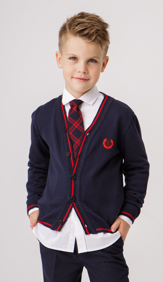 Фото galstuk-erudit-12 товару Краватка Ерудит1