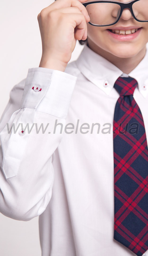 Фото galstuk-erudit-13 товару Краватка Ерудит1