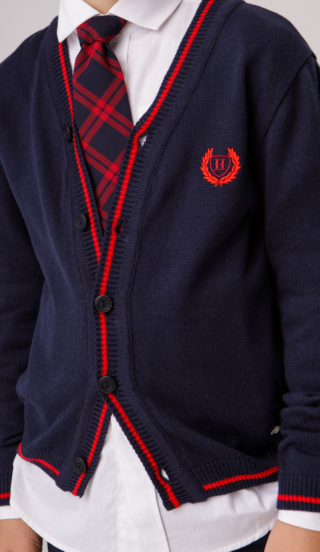 Фото galstuk-erudit-14 товару Краватка Ерудит1