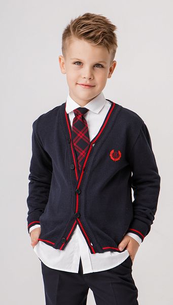 Фото trikotaznaa-kofta-dla-malcika-sinaa-s-krasnym-kantom-02 товара Трикотажная кофта для мальчика синяя с красным кантом Фото trikotaznaa-kofta-dla-malcika-sinaa-s-krasnym-kantom-02 товара Трикотажная кофта для мальчика синяя с красным кантом