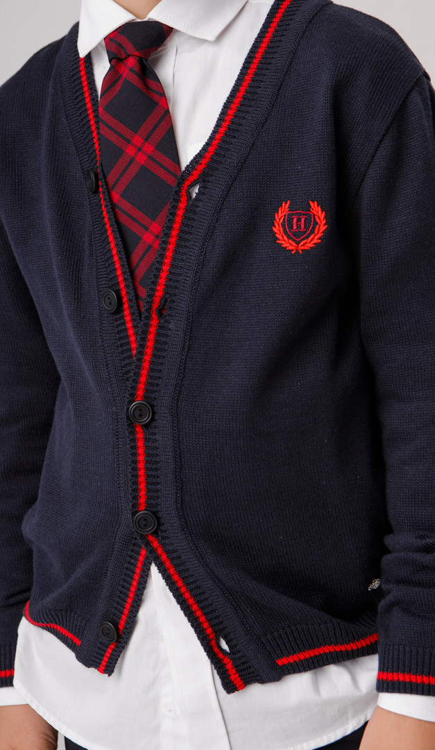 Фото trikotaznaa-kofta-dla-malcika-sinaa-s-krasnym-kantom-04 товара Трикотажная кофта для мальчика синяя с красным кантом0