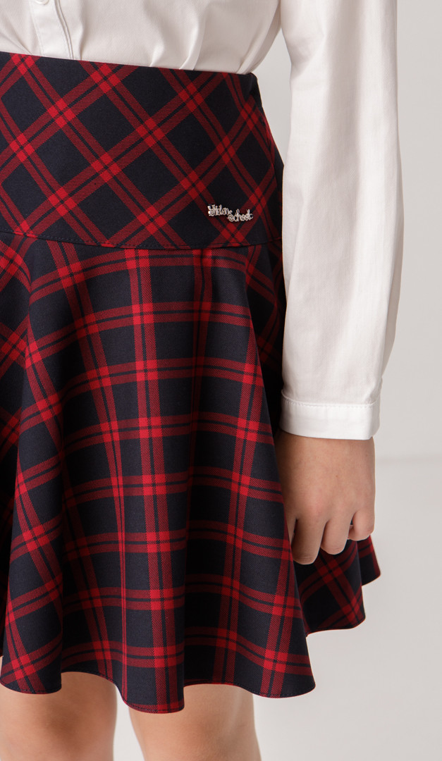 Фото ubka-v-kletku-na-koketke-04 товара Юбка в клетку на кокетке0