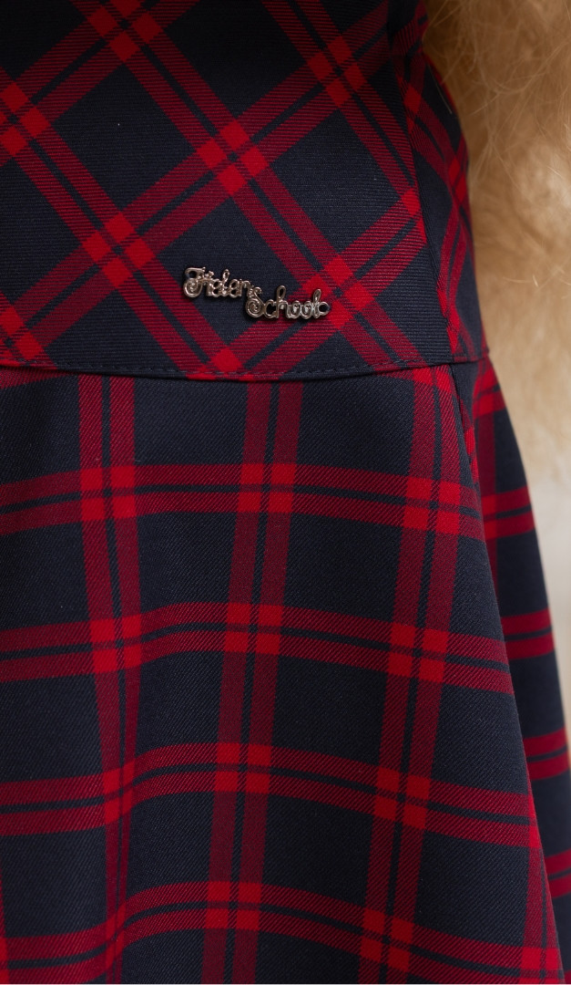 Фото ubka-v-kletku-sine-bordovuu-04 товару Спідниця в клітинку синьо-бордову0