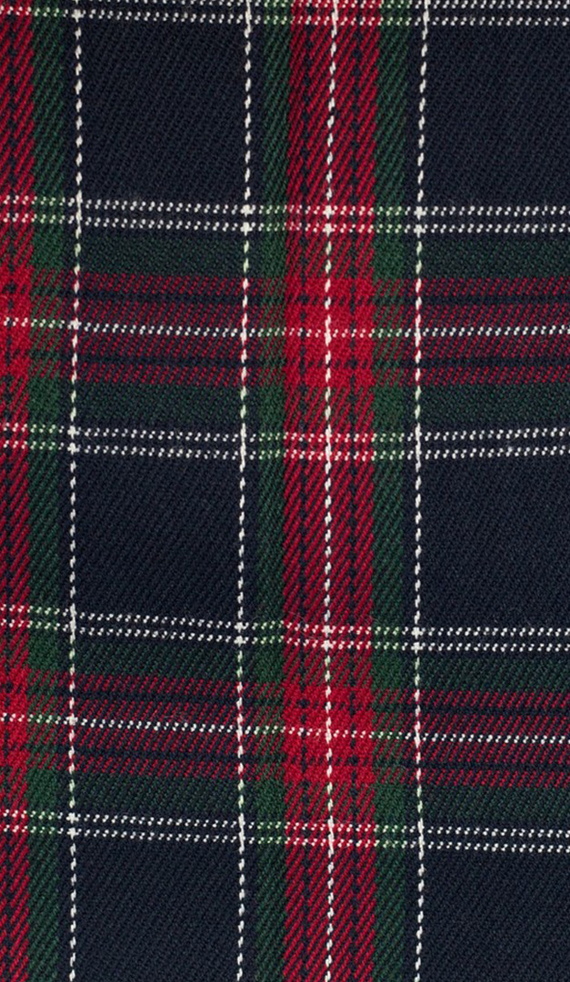 Фото ukrasenie-galstuk-dla-devocki-sine-krasnaa-kletka-02 товару Прикраса краватка для дівчинки синьо-червона клітинка0